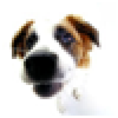 Home avatar